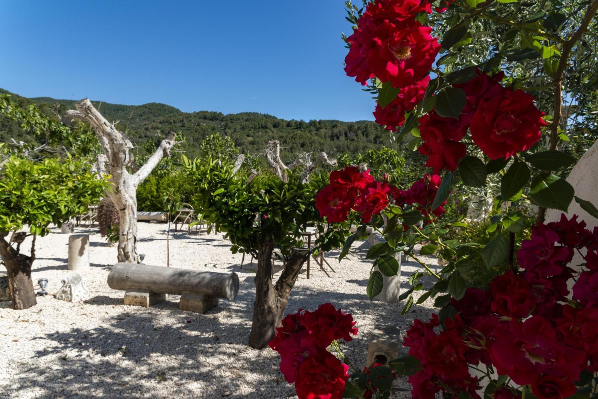 Hmo Glamping & Suites In Vignanotica Mattinata Dış mekan fotoğraf