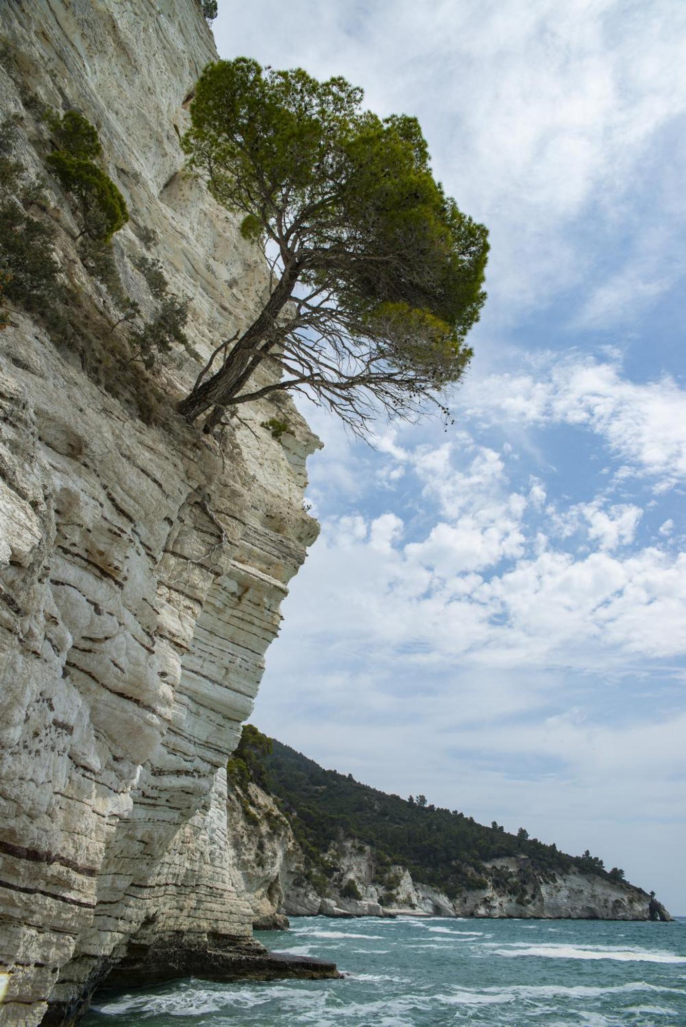 Hmo Glamping & Suites In Vignanotica Mattinata Dış mekan fotoğraf