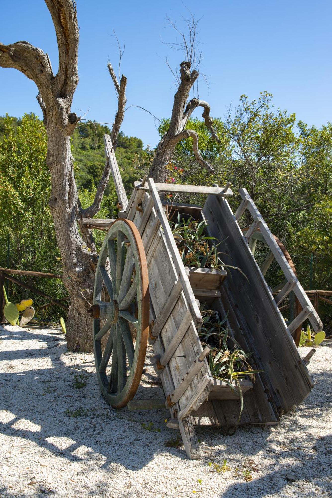 Hmo Glamping & Suites In Vignanotica Mattinata Dış mekan fotoğraf